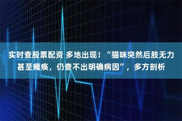 实时查股票配资 多地出现！“猫咪突然后肢无力甚至瘫痪，仍查不出明确病因”，多方剖析